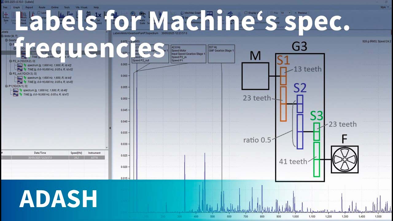 Unlock the Power of Machine Labels in DDS